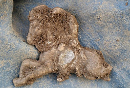 Jezdec, FJI, knofle a jiné