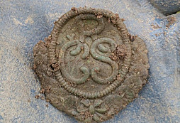 Další RČS, kokarda, FJI a jiné