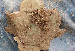 Skaut, police, FJI a jiné