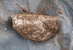 Další legionář, spona, FJI a jiné