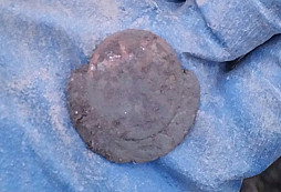 RČS, psík, vážka, FJI a jiné