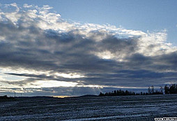 Krmi83 - flóra a fauna 2020