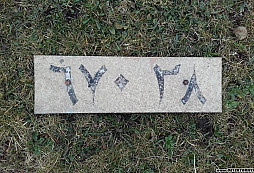 Raketomet ZIL u Newcastlu