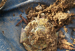 Výroční metál, knofl Tramways, FJI a jiné