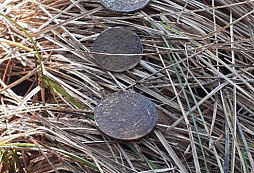 Z poslední vycházky