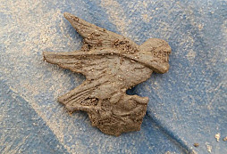 Horské jednotky, lvíček FJI a jiné