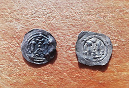 Zas nějaké šupinky