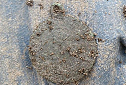 Sv.Jiří, Norfolk police, Tokyo a jiné