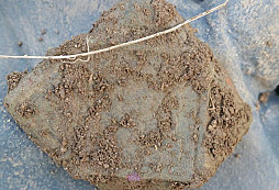 Lvíček, Letu zdar, Binderhofer a jiné