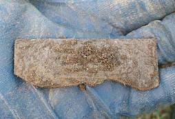 Andělská jízda, Za vlast, Police, FJI a jiné