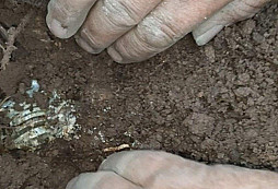 Válečné stříbro