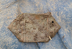 Děravý lvíček, brož, FJI a jiné