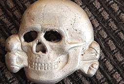 Prosba o určení lebkouna