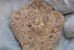 Brožička, svátostka, labuť, FJI a jiné