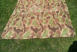 Celta z blšáku, kto poradí?