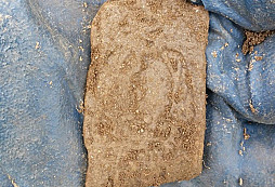 Destička, svátostka, námořník, FJI a jiné