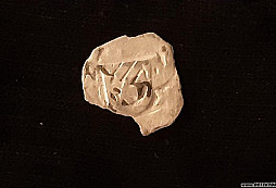 Poradíte se stříbrňáčkem?