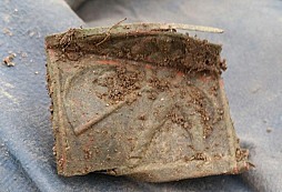 Arbeiterfest, FJI, sršni a jiné