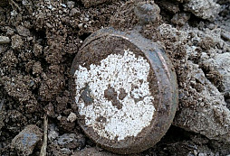 Cibule, záloha, IFJ a jiné