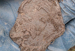 Záhadný stařík, knofle, čtyřlístek a další