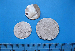 Pomoc s určením sříbrňáků