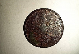 Dnešní ranní polní nálezy