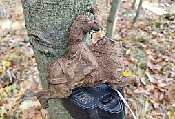 Koník, přezka, hilzna