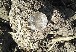 Prosluněný podzim a pár drobných nálezů