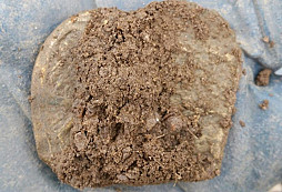 Ptáček, brožičky, knofle a jiné