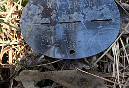 Ohlédnutí za rokem