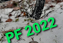 PF 2022