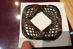 Dnešní nález - určení