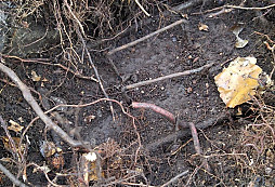 Jak jsem čekal sudeťáka...