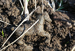 Koník, spony, knofle a jiné