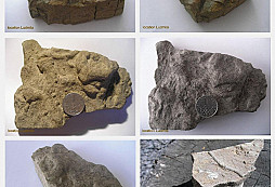 Ichnofosilie ještě jednou