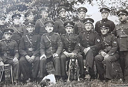 Finanční stráž - SOS