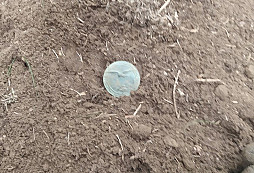 Dnešní návštěva Sudet