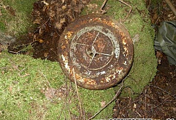 I ve vedrech rostou!