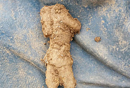 Vojáček, spona, námořník a jiné