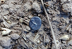 Tak jsme šli na válku