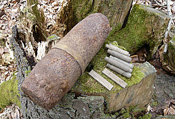 Něco z procházek v přírodě.