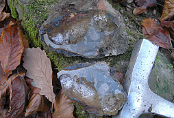 Pelosideritová ruda pro experiment. tavbu železa