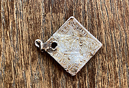 Hasiči Nová ves nad Popelkou