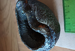 Střepina z letecké pumy? + část brýlí