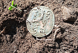 Přísežná stráž