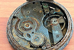 Doplnění k článku CIBULE