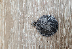 Pomoc s určením - lepší foto