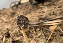 Středověké stříbro.