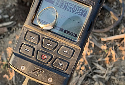 První zlatý prsten 