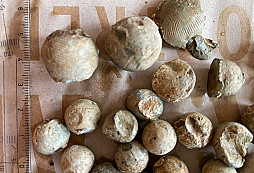 Pole kulí a čehosi